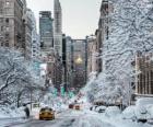 New York'ta kış